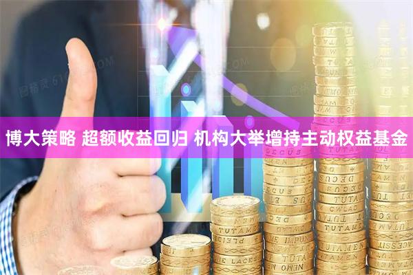 博大策略 超额收益回归 机构大举增持主动权益基金