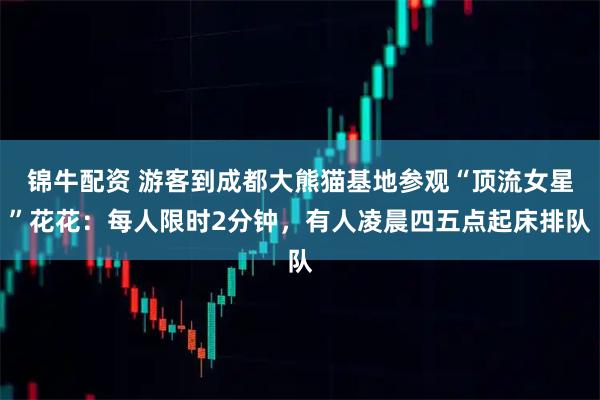 锦牛配资 游客到成都大熊猫基地参观“顶流女星”花花：每人限时2分钟，有人凌晨四五点起床排队