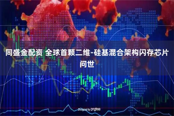 同盛金配资 全球首颗二维-硅基混合架构闪存芯片问世