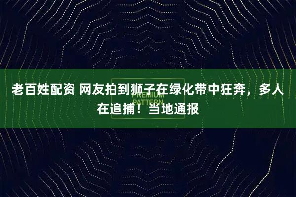 老百姓配资 网友拍到狮子在绿化带中狂奔，多人在追捕！当地通报