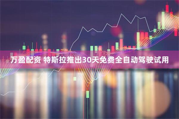 万盈配资 特斯拉推出30天免费全自动驾驶试用