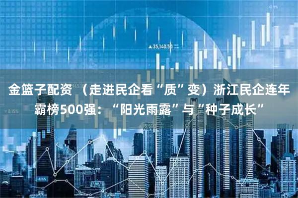 金篮子配资 （走进民企看“质”变）浙江民企连年霸榜500强：“阳光雨露”与“种子成长”